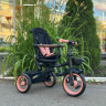 Коляска трехколесная Luxmom 3123 розовый