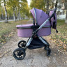 Коляска Luxmom 560 3в1 Фиолетовый